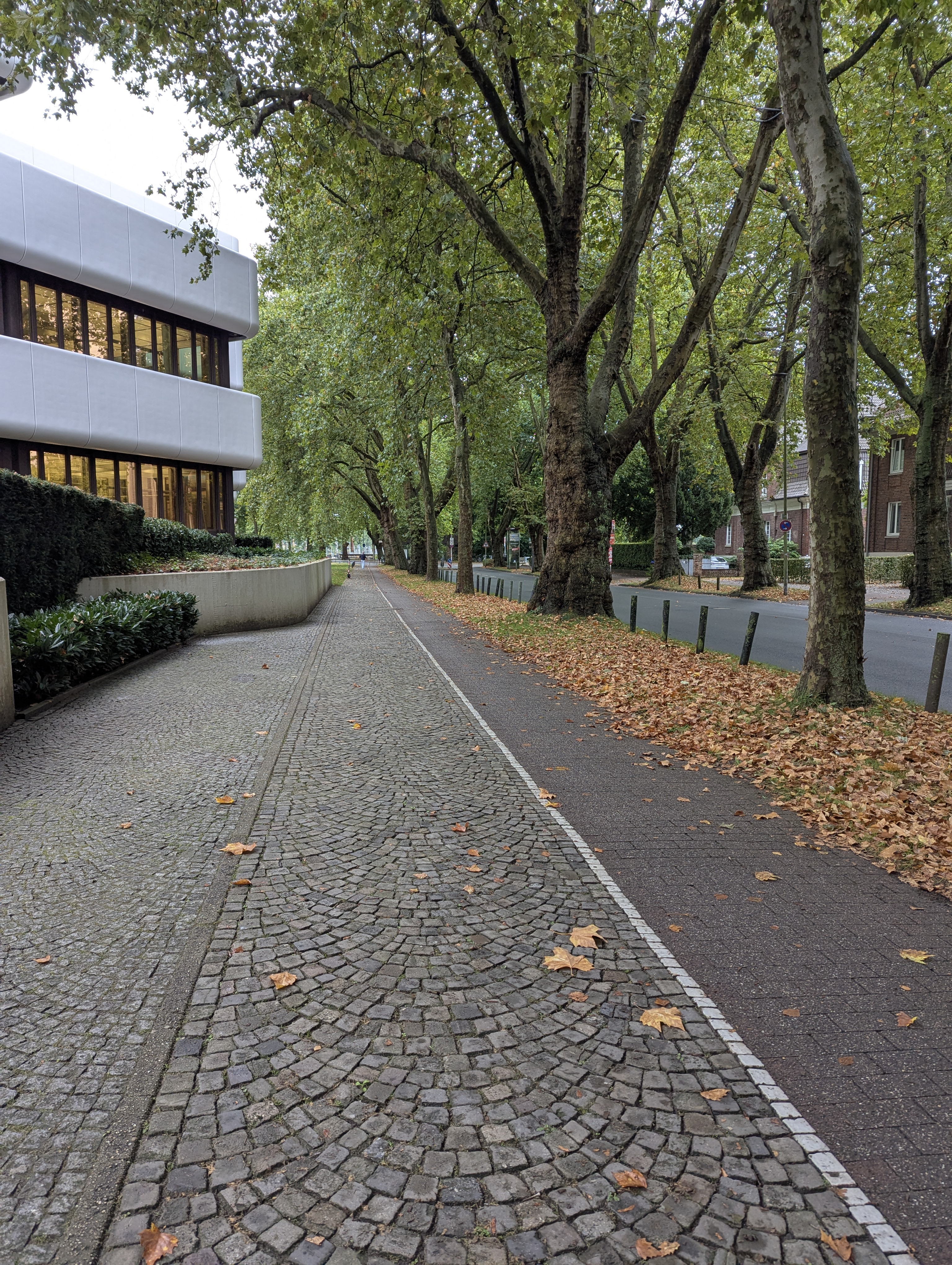 Botonic Gardens, Muenster, Germany